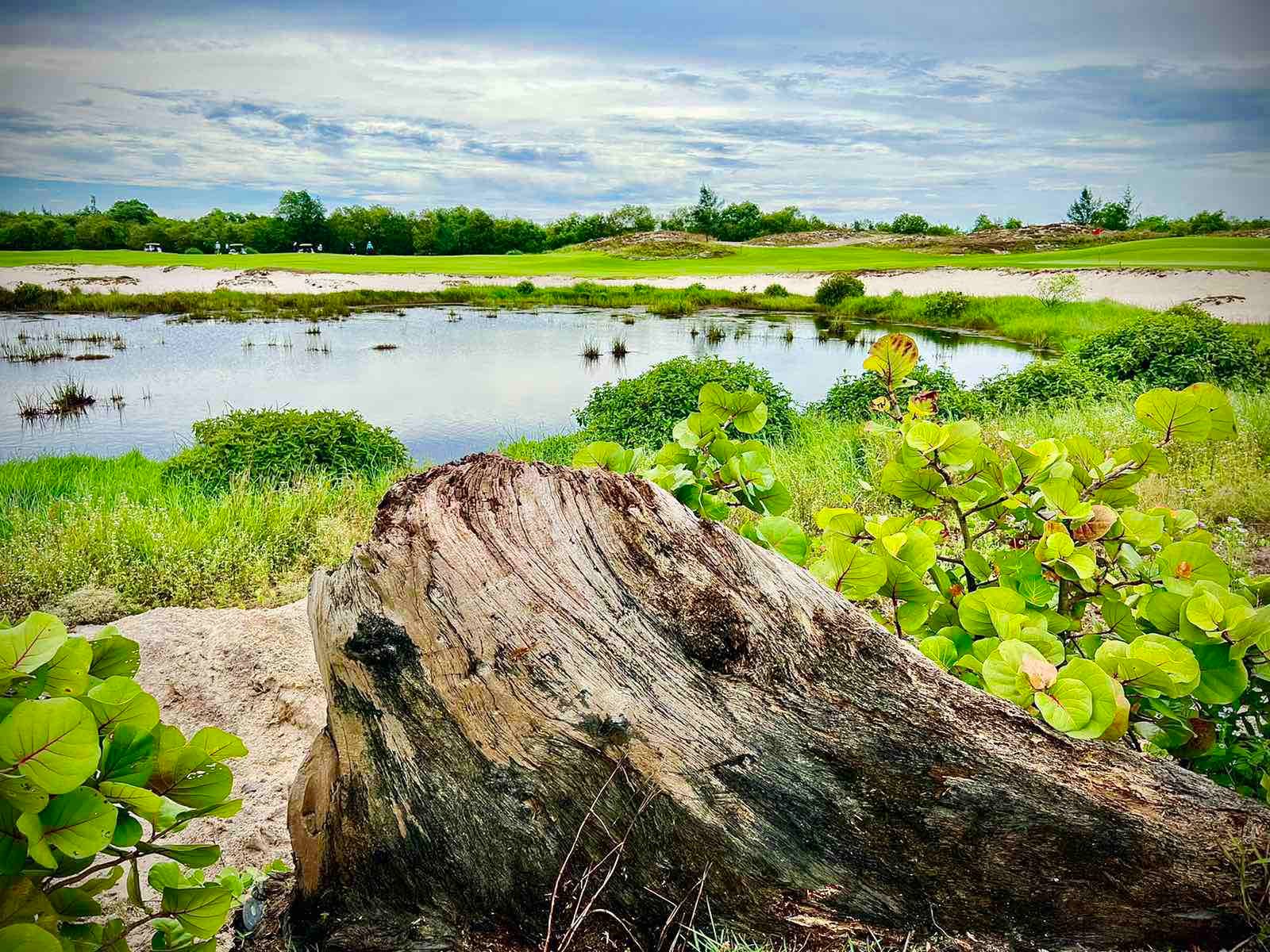 FLC 꽝빈 골프 링크스